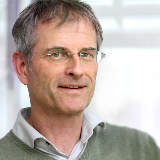 About us – purplexus